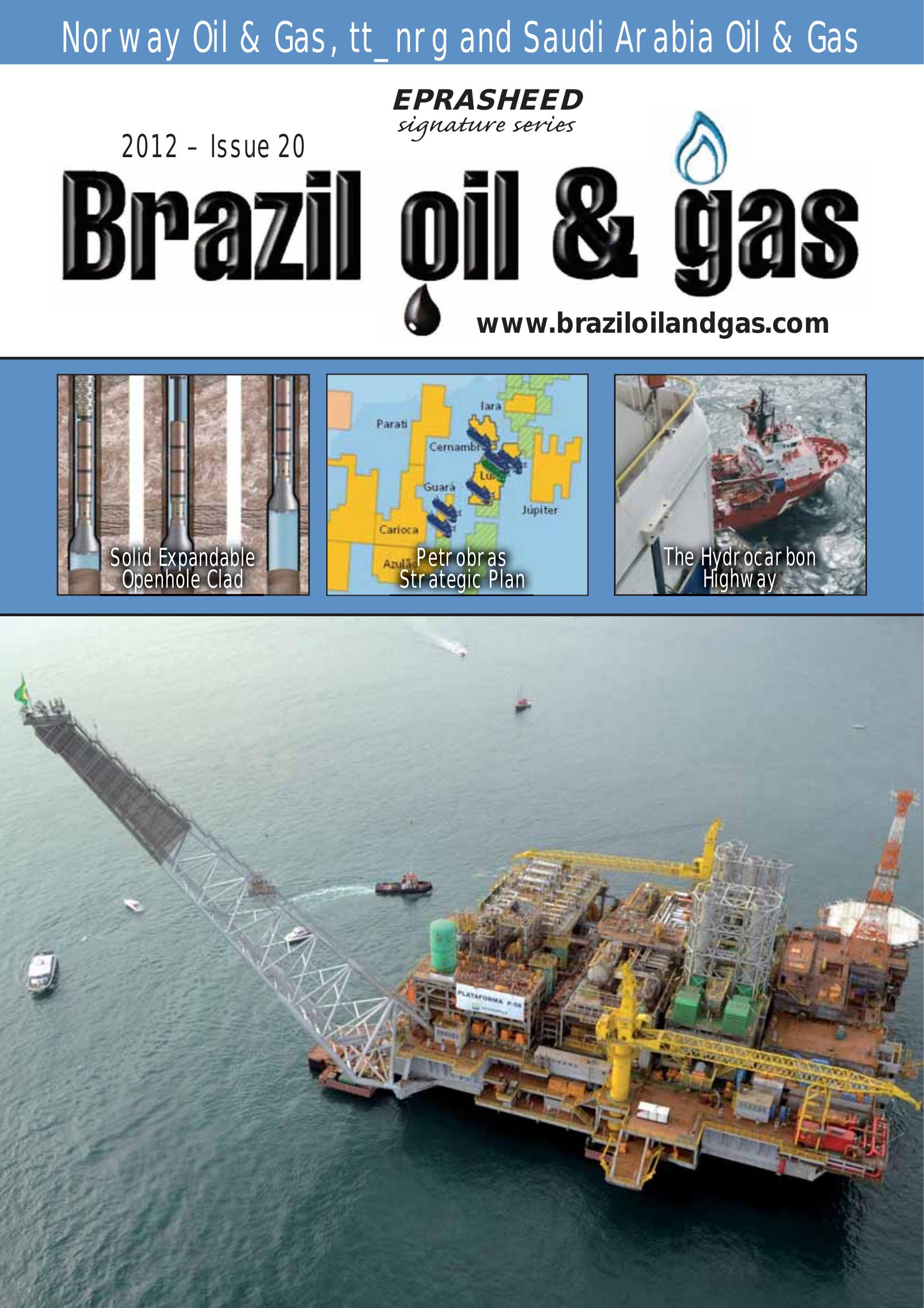 Brazil Oil and Gas Issue 20
