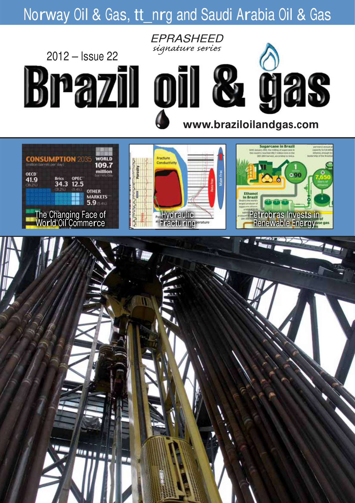 Brazil Oil and Gas Issue 22
